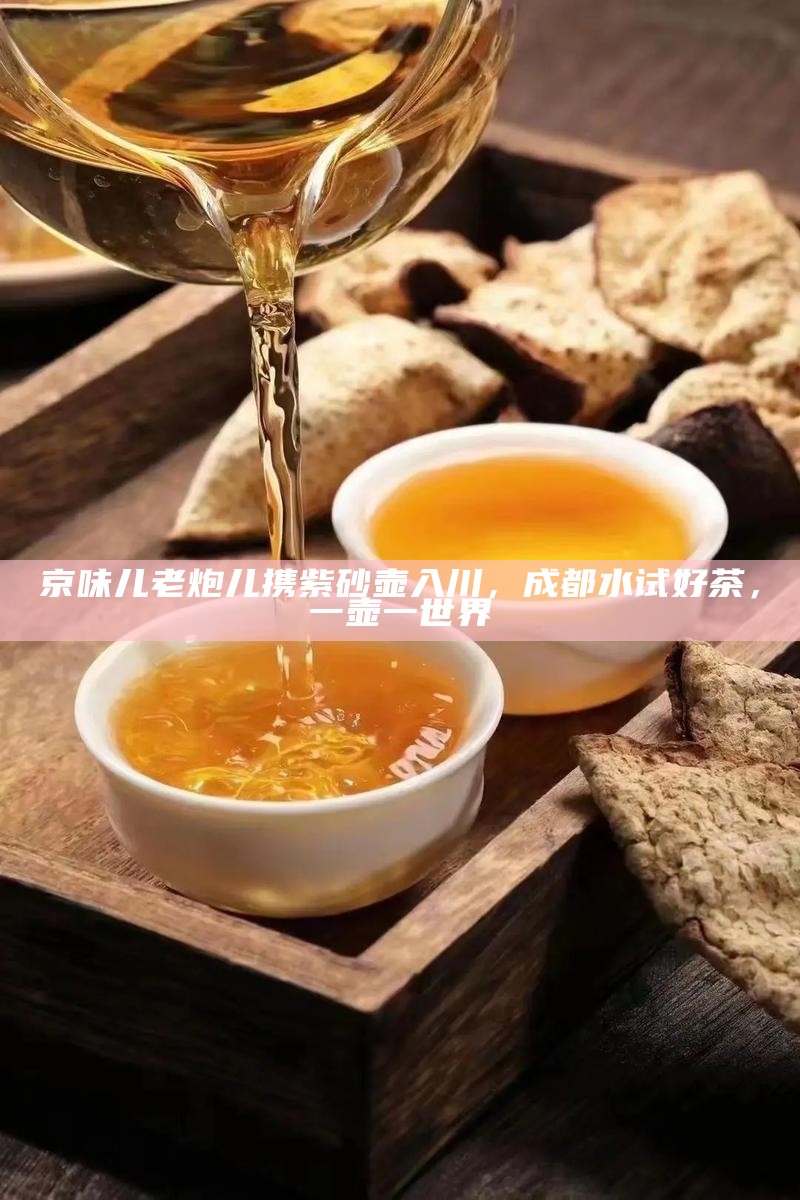 京味儿老炮儿携紫砂壶入川，成都水试好茶，一壶一世界