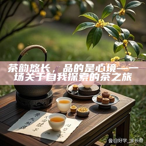 茶韵悠长，品的是心境—一场关于自我探索的茶之旅