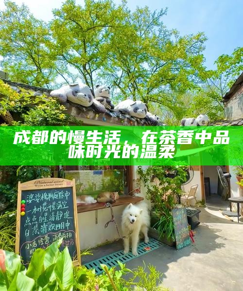 成都的慢生活，在茶香中品味时光的温柔