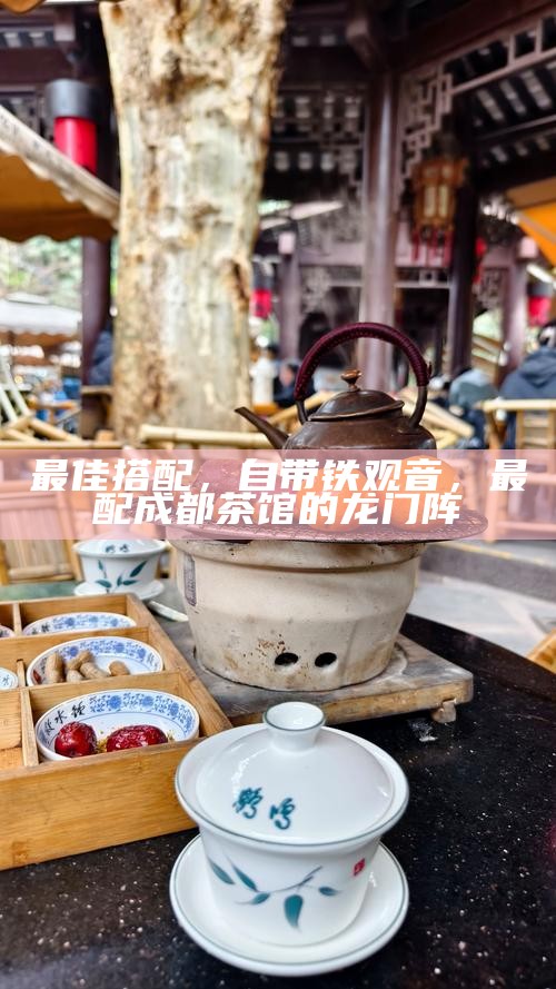 最佳搭配，自带铁观音，最配成都茶馆的龙门阵